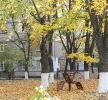 День Коледжу 2019_2
