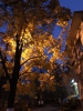 День Коледжу 2019_6