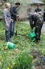 Алея випускників 2014_6