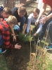 Алея випускників 2016_10