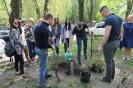 Алея випускників 2018_4