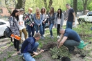Алея випускників 2018_5