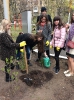 Алея випускників 2019_6