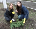 Алея випускників 2019_7