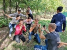TEAM BUILDING-2020